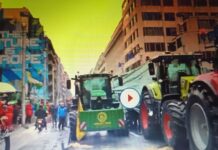 AGRICOLTORI : NOTE A MARGINE